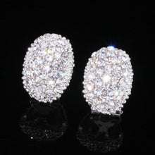 Load image into Gallery viewer, Classic Romantic Jewelry Silver Color AAA Cubic Zirconia Stone Stud Earrings