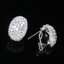 Load image into Gallery viewer, Classic Romantic Jewelry Silver Color AAA Cubic Zirconia Stone Stud Earrings